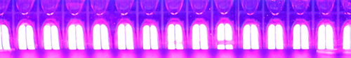 UVLED固化灯光照固化承印物红色油墨的应用